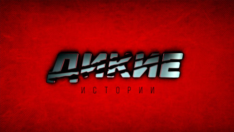 ДИКИЕ ИСТОРИИ.